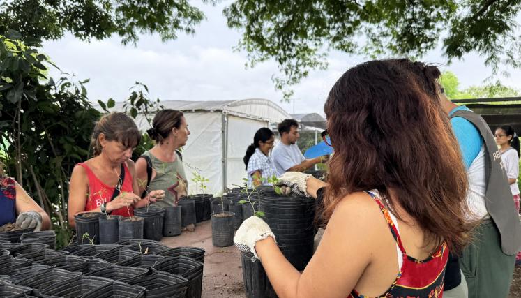 VOLUNTARIADO